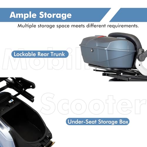 Heavy Duty 4 Wheel Mobility Scooters for Adults, 800W Powered All Terrain Mobility Scooters with Seat and Remote Control, Handicap Scooters for Seniors Outdoor Long Range Travel (Sliver)