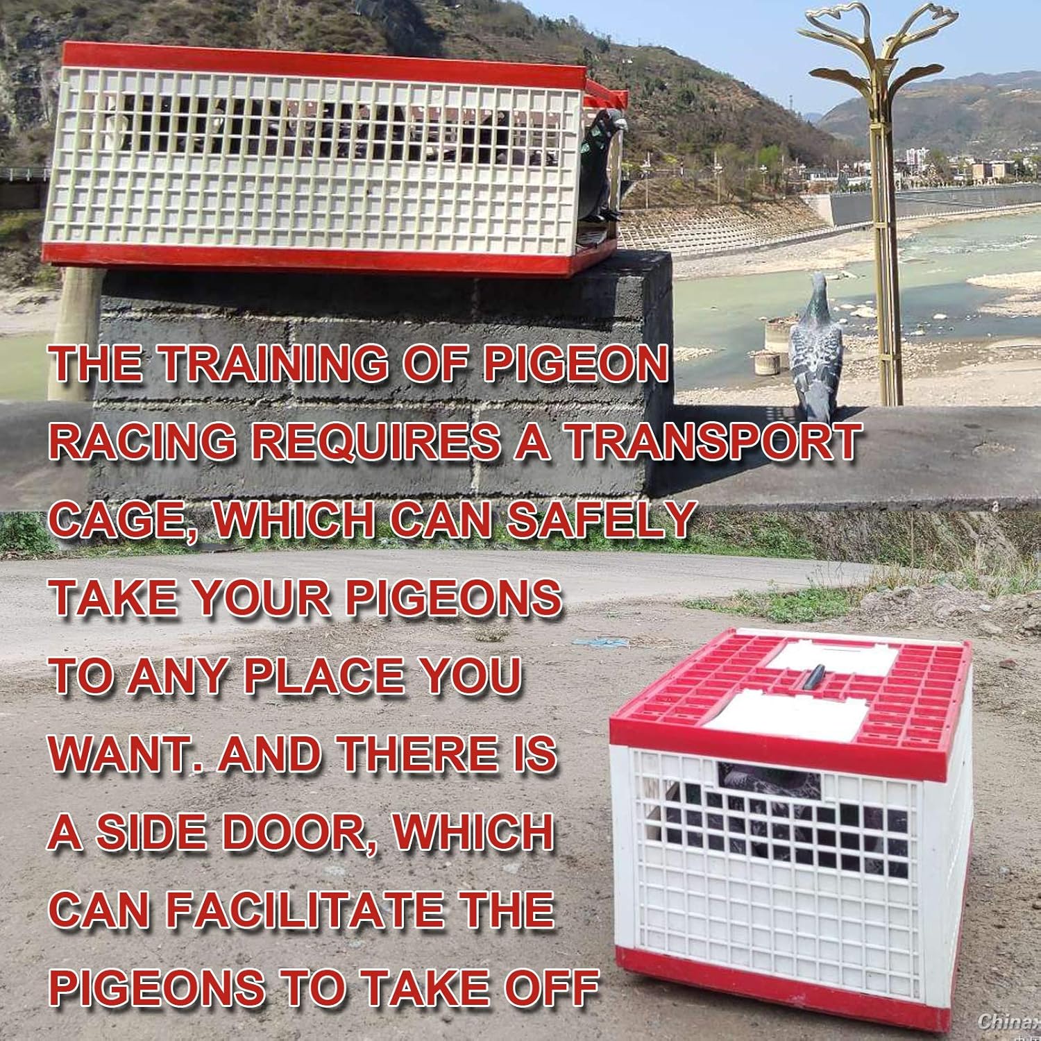 Plastic Pigeon cage Portable Foldable Plastic Transportation Poultry Transportation Bird cage Hunting cage Coop 24×12×9in Chicken cage