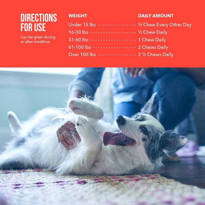 Synovi G3 Soft Chews Joint Supplement for Dogs - Pet Supplies online store