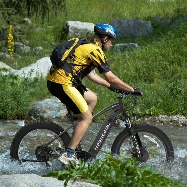 FICISOG 26" x 4" Adult Fat Tire Electric Bike , 500Wx2 Dual Motor AWD MTB, All Terrain Ebikes, 48V 15AH Removable Battery, 20MPH 7-Speed Mountain Electric Bicycle,1 Motor Range 30-45 Miles