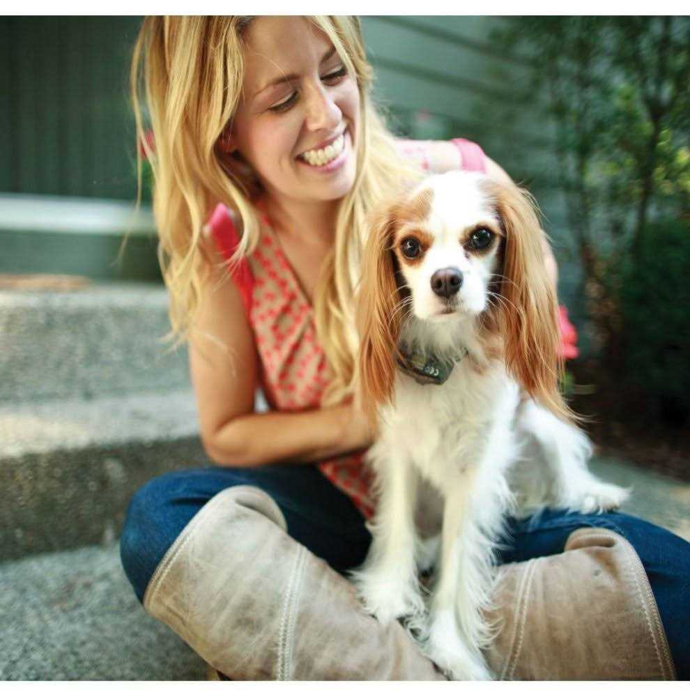 PetSafe Elite Little Dog In-Ground Fence Collar Receiver - Pet Supplies online store