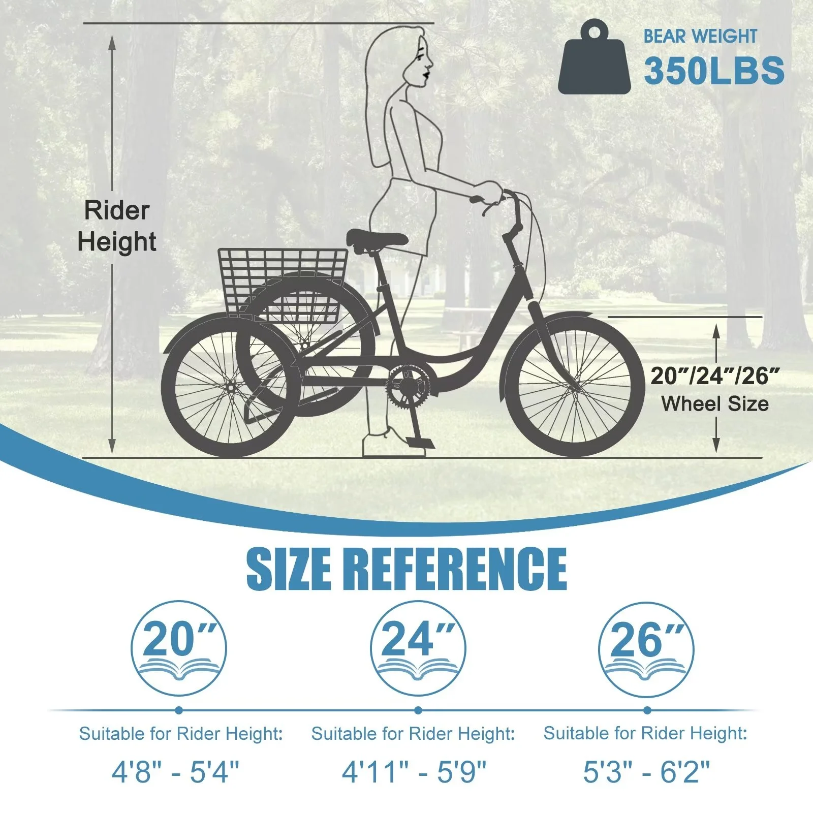MOPHOTO Adult Tricycles 3 Wheel 7 Speed Trikes, 20/24/26 inch with Big Basket for Shopping, Picnics Exercise Men's Women's Senior's Trike