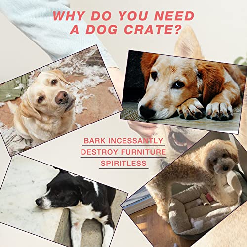 48 Inch Heavy Duty Indestructible Dog Crate Steel Escape Proof, Indoor Double Door High Anxiety Cage, Kennel with Wheels, Removable Tray, Extra Large XL XXL