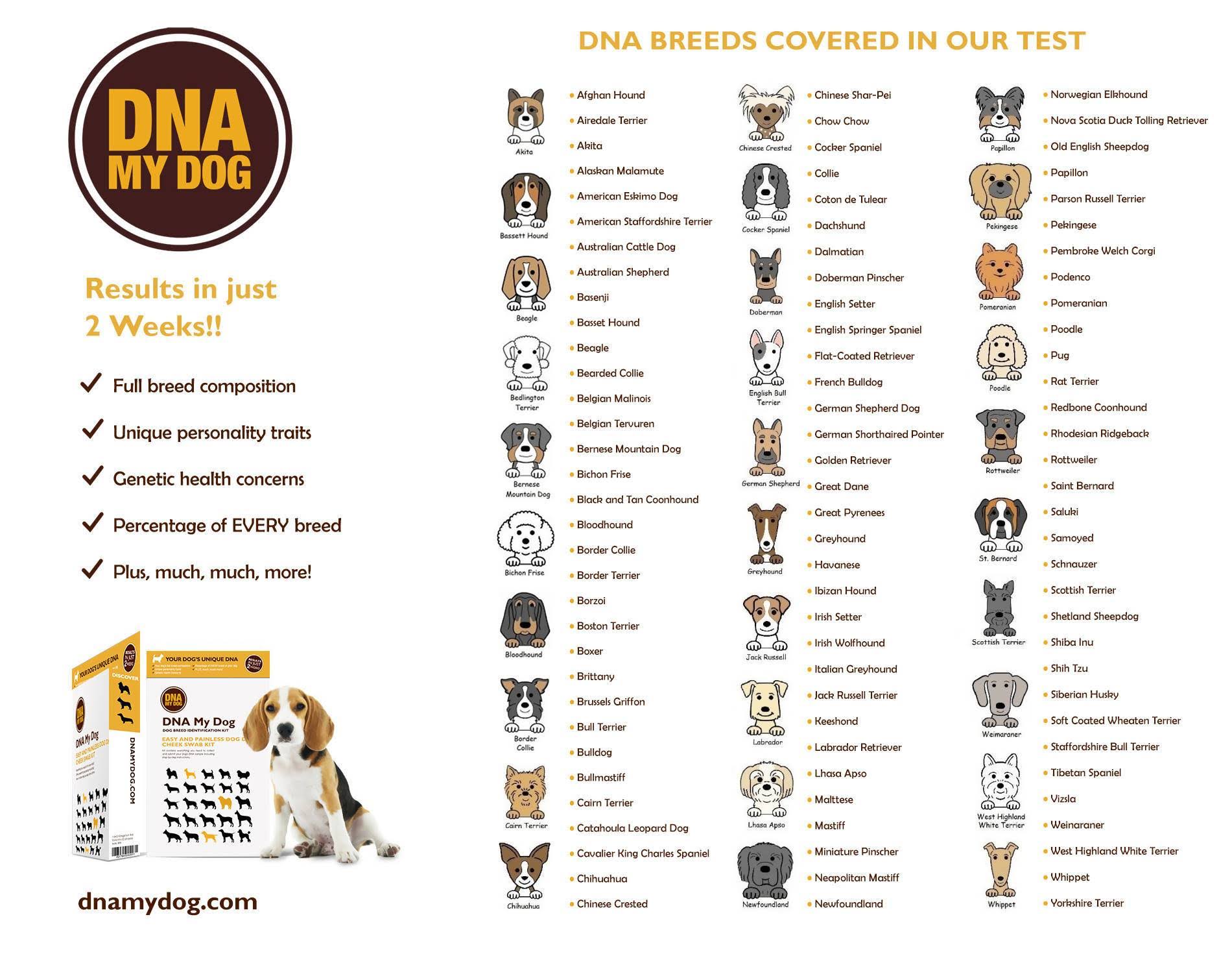 DNA My Dog Breed Identification Test Kit
