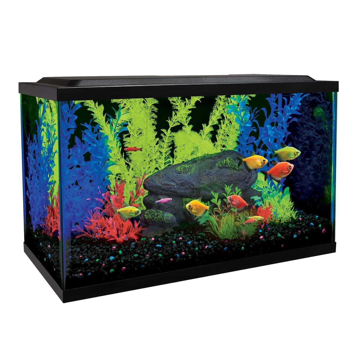 Glofish 10 Gallon Aquarium Kit - Pet Supplies online store