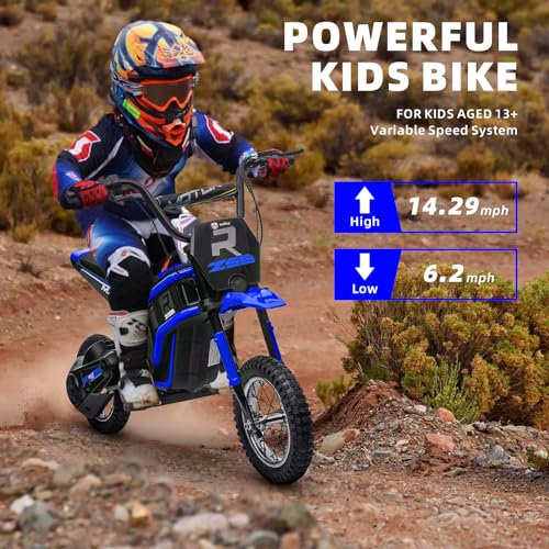 24V Kids Dirt Bike with 350W Motor, 14.29MPH Max Off-Road Bike, Kids Electric Motorcycle with Superior Suspension,12in EVA Inflatable Tires and MP3 Player for Kids 8-12 (Pink)