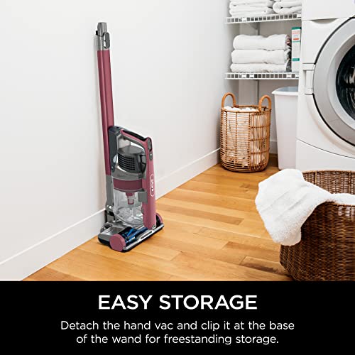 Shark | Pet Cordless Vacuum Cleaner | LED Headlights | Removable Handheld Vacuum for Pet Hair | Crevice Tool & Pet Multi-Tool Included | 40min Runtime | For Carpet & Hard Floors | Grey | IX141