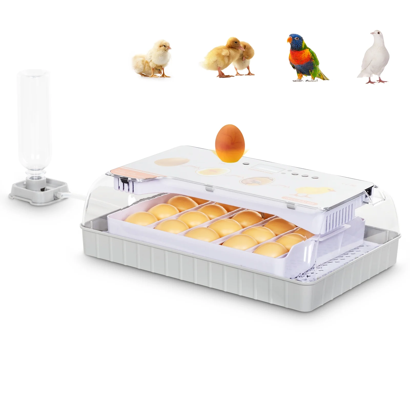 Automatic Egg Incubator, 9-20 Eggs with Temperature Display, Candler & Turner - Ideal for Hatching Chickens, Quail, Duck, Goose - Bottle Not Included - Curated Treasures Market