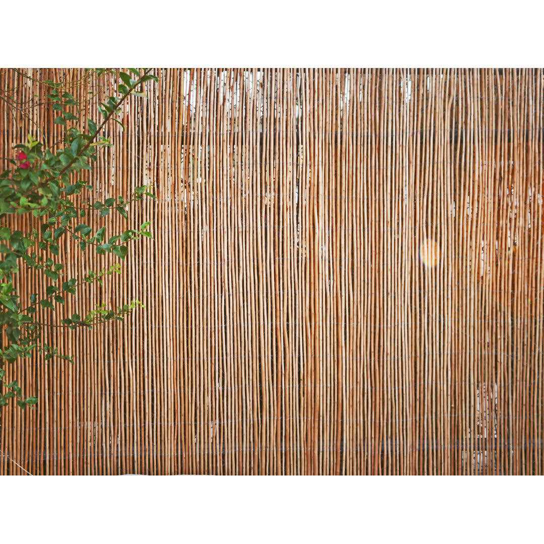 Backyard X-Scapes 6 ft. H X 8 ft. L Willow Wood Fencing - Shop Hardware Tools Online Store