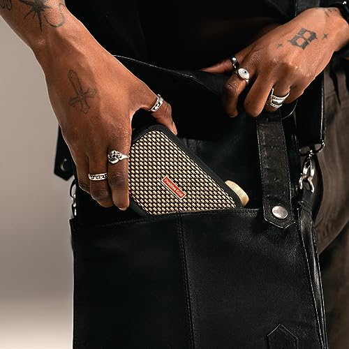 Positive Grid Spark GO 5W Ultra-Portable Smart Guitar Amp, Headphone Amp & Bluetooth Speaker with Smart App for Electric Guitar, Acoustic or Bass