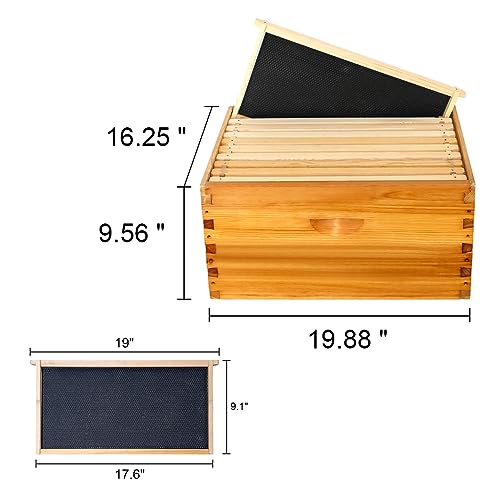 Honey Lake 10 Frame Bee Hive Starter Kit, Complete Beehive Kit for Beekeepers Dipped in 100% Beeswax Includes 1 Deep Brood Box & 1 Medium Super Bee Box with Beehive Frames and Waxed Foundation Sheet