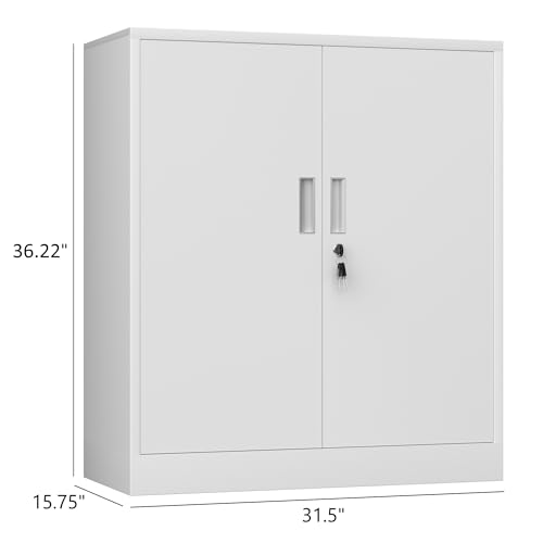 Metal Storage Cabinet with Locking Doors and 2 Adjustable Shelves, Small Lockable Storage Cabinet for Home Office Garage (Black)