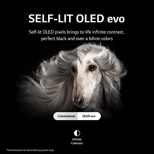 LG OLED Evo G2 Series (Renewed)