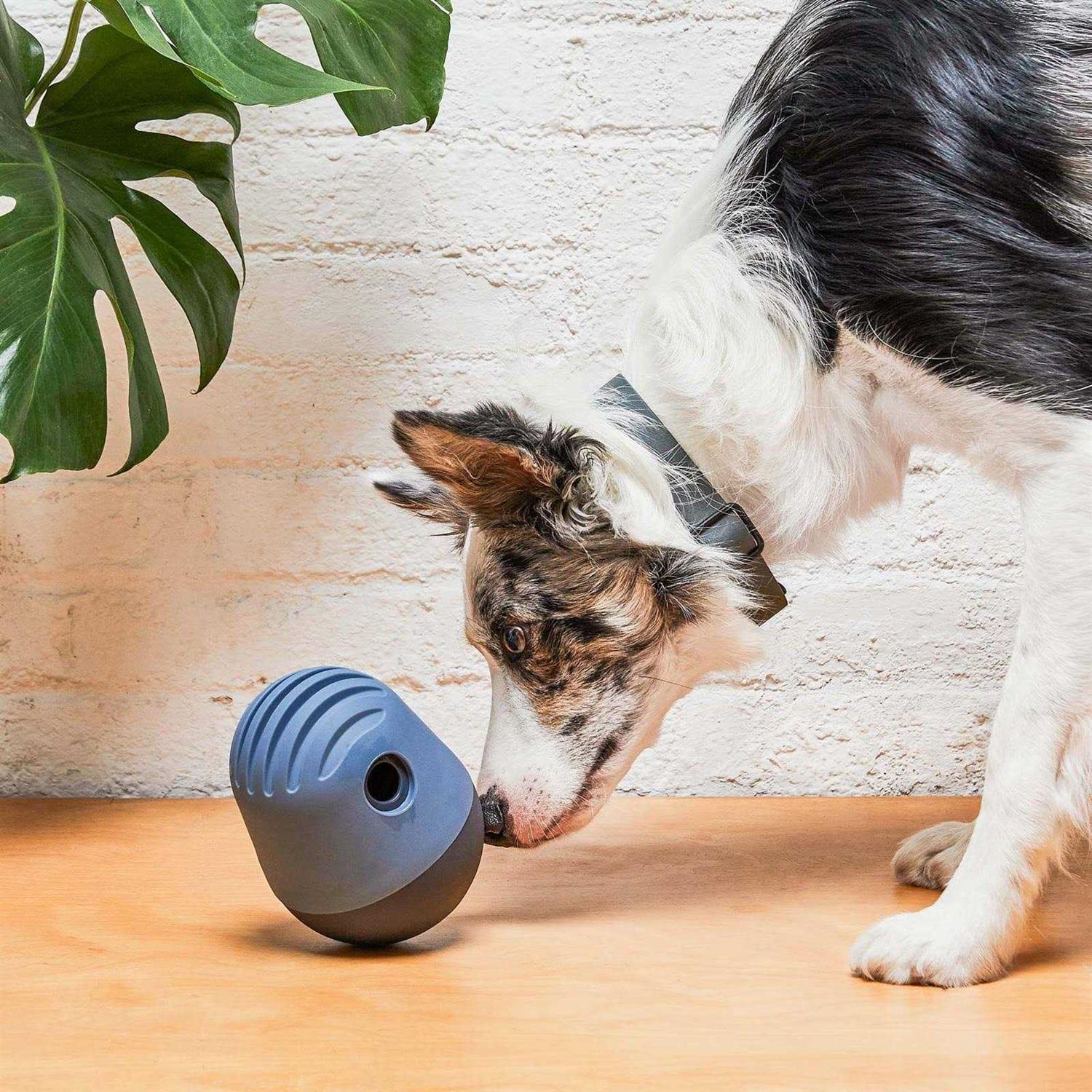 Fable Pets The Game Dog Toy - Pet Supplies online store
