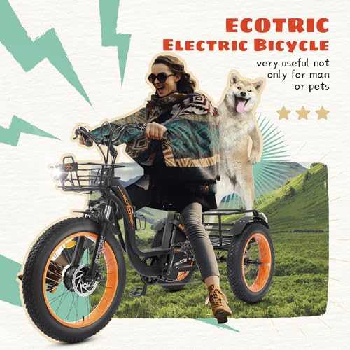 ECOTRIC Electric Tricycle for Adults,Fat Tire 750W 48V 22.4AH Removable Battery, 7 Speeds Adult 3 Wheel Electric Trike with Basket