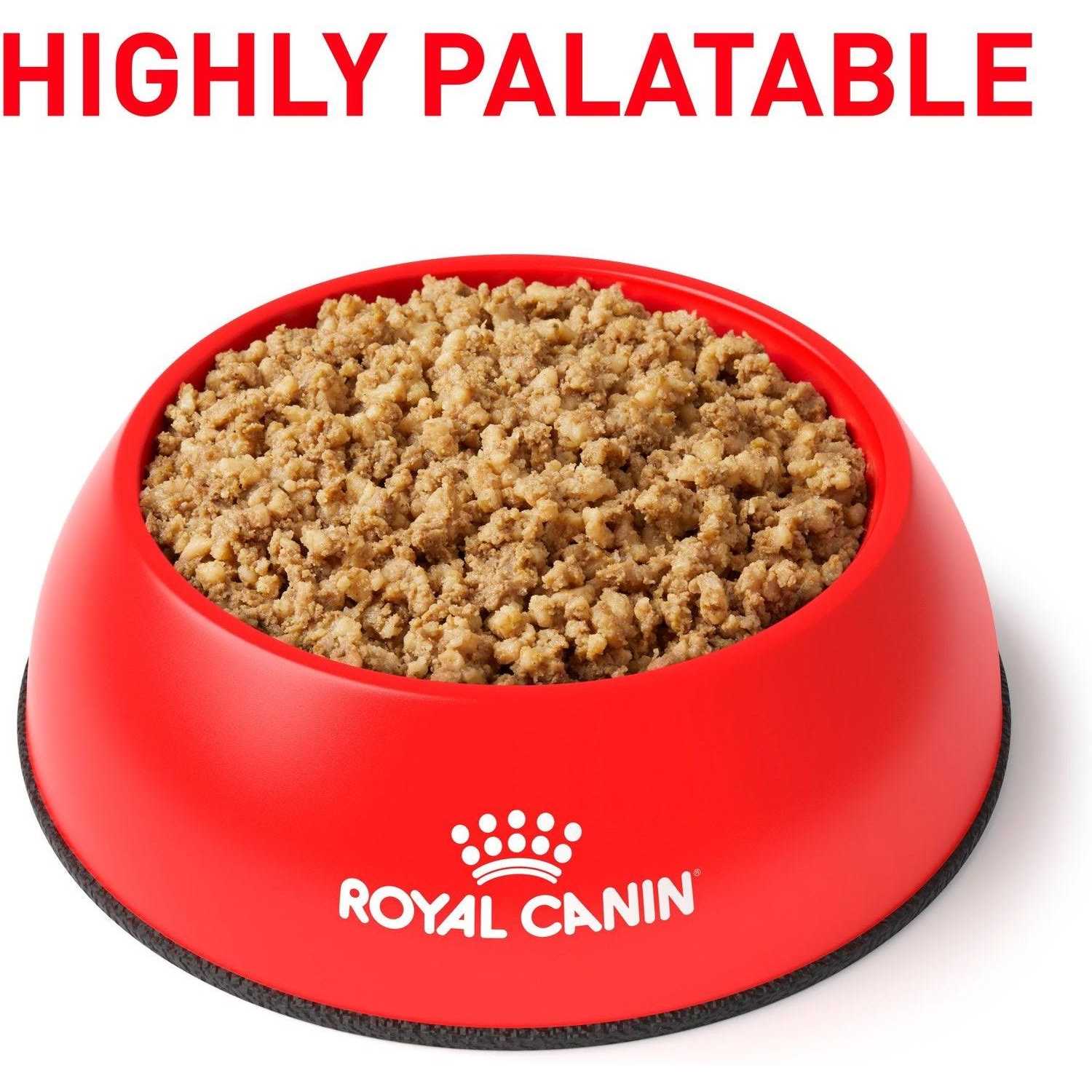Royal Canin Veterinary Diet Canine Renal Support E Canned Dog Food - Pet Supplies online store