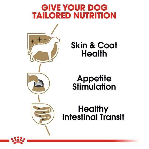 Royal Canin Breed Health Nutrition Yorkshire Terrier Adult Loaf In Sauce Dog Food - Pet Supplies online store