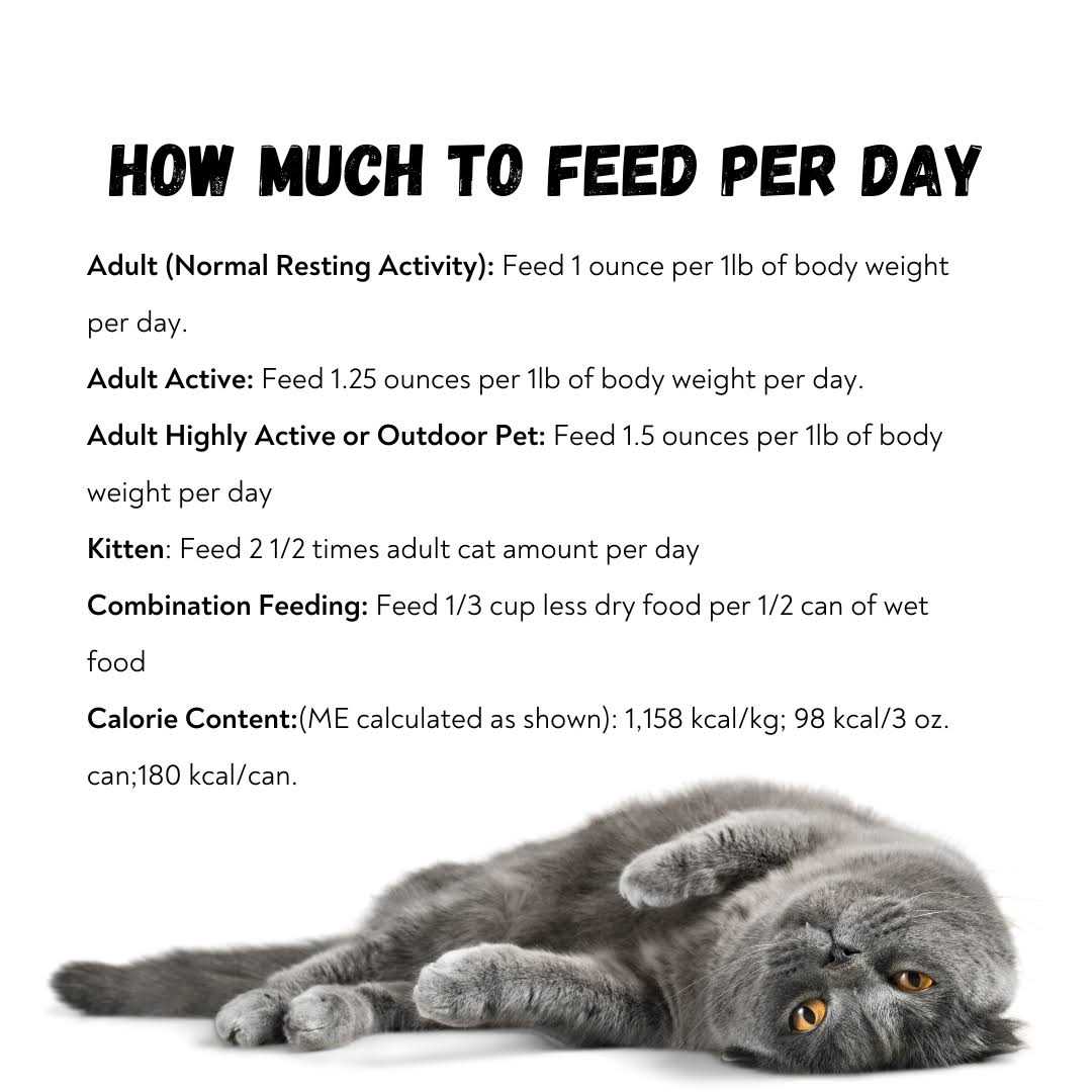 Rawz 96% Pate Cat Food - Pet Supplies online store