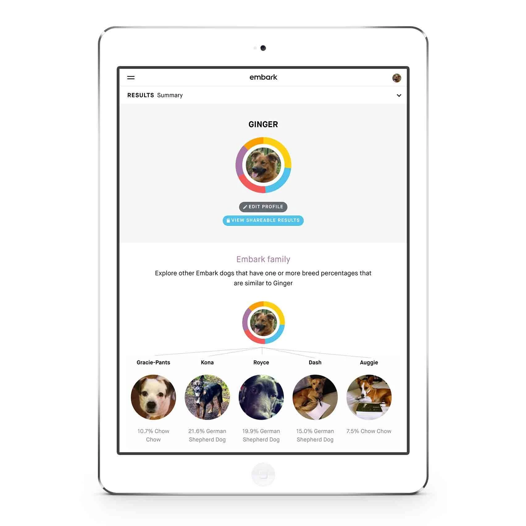 Embark | Dog DNA Test | Breed Identification | 160 Health Results | 200K Genetic Markers | Pack of 3