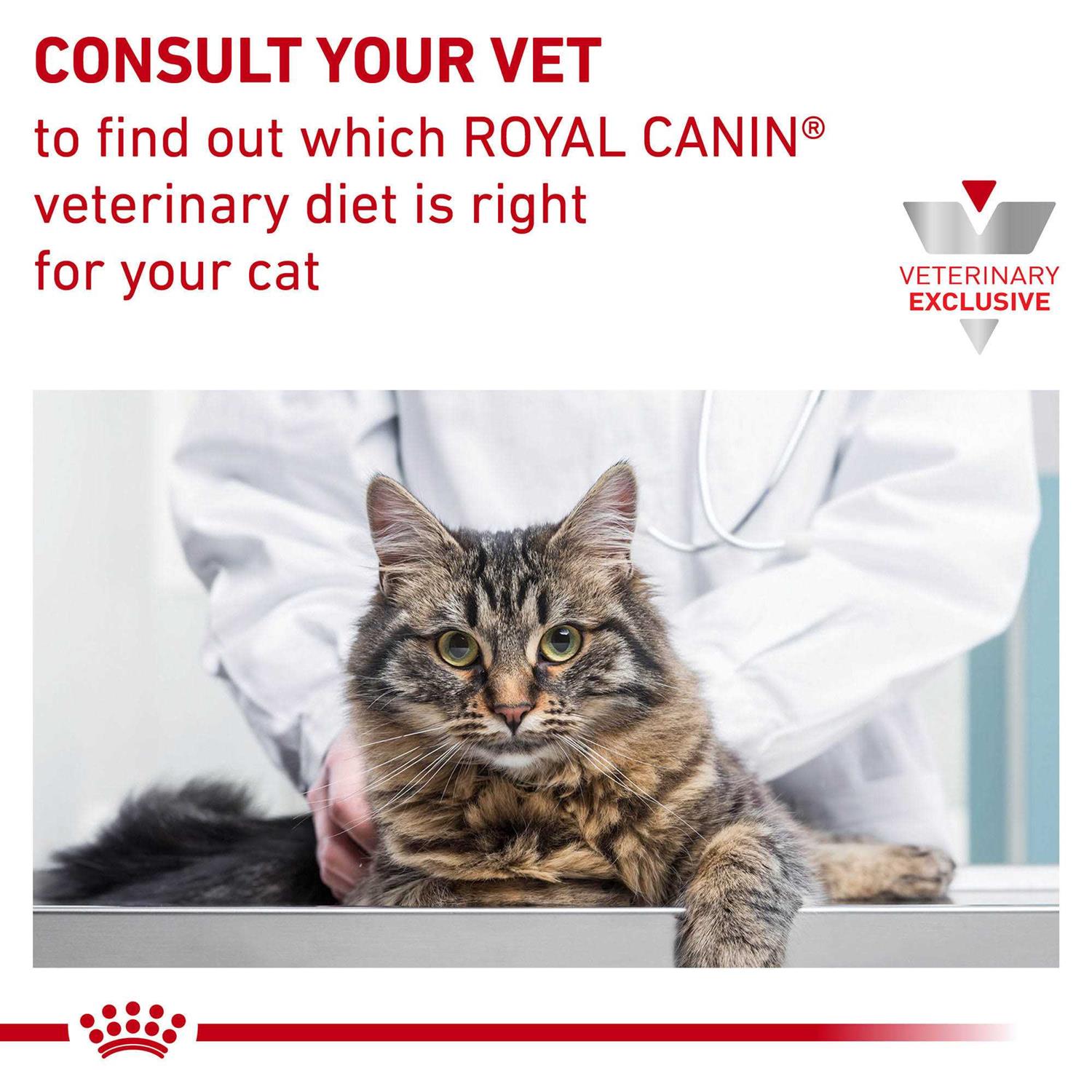 Royal Canin Veterinary Diet Feline Selected Protein Adult PD Dry Cat Food - Pet Supplies online store