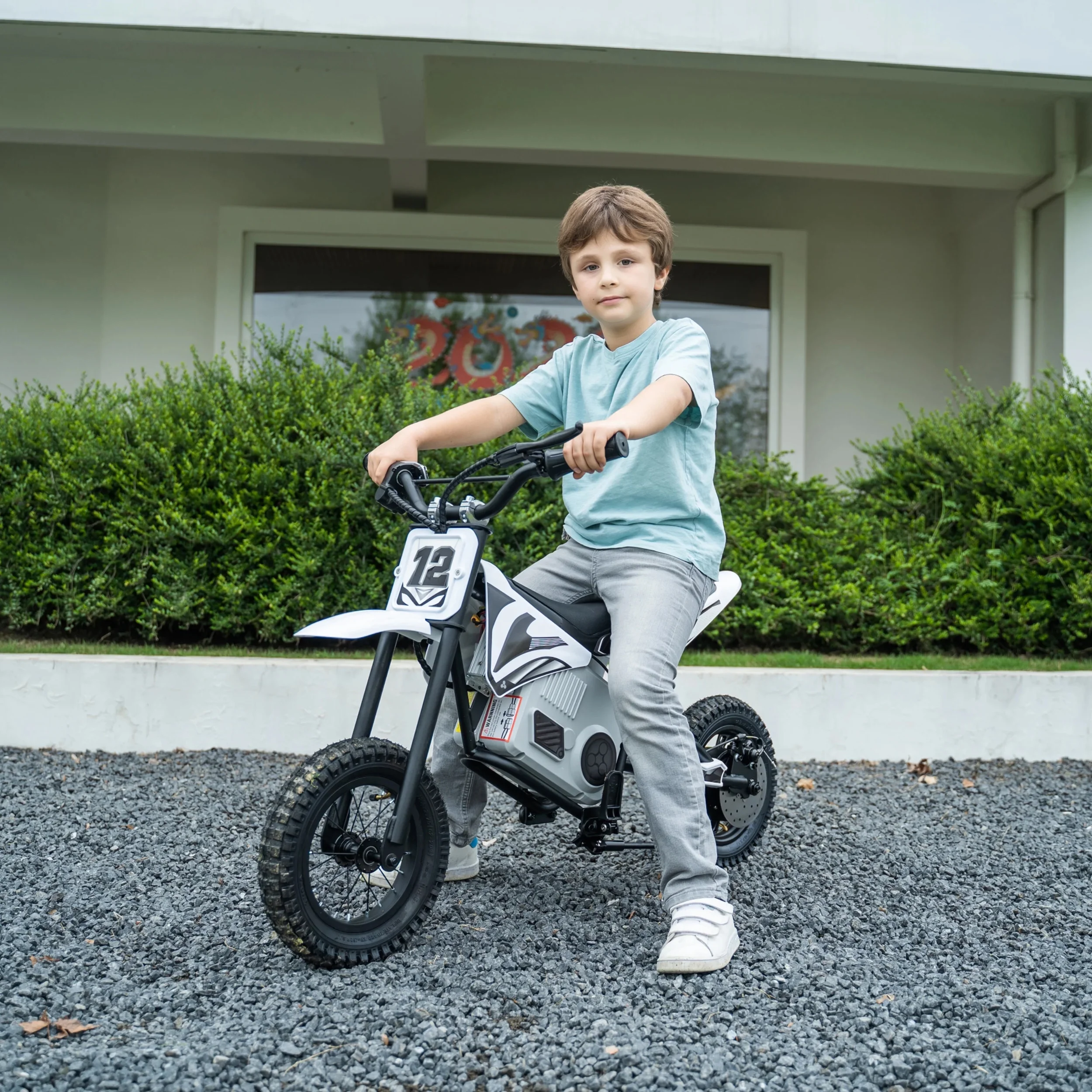 Freddo 36V Electric Dirt Bike with Brushless Motor - Curated Treasures Market