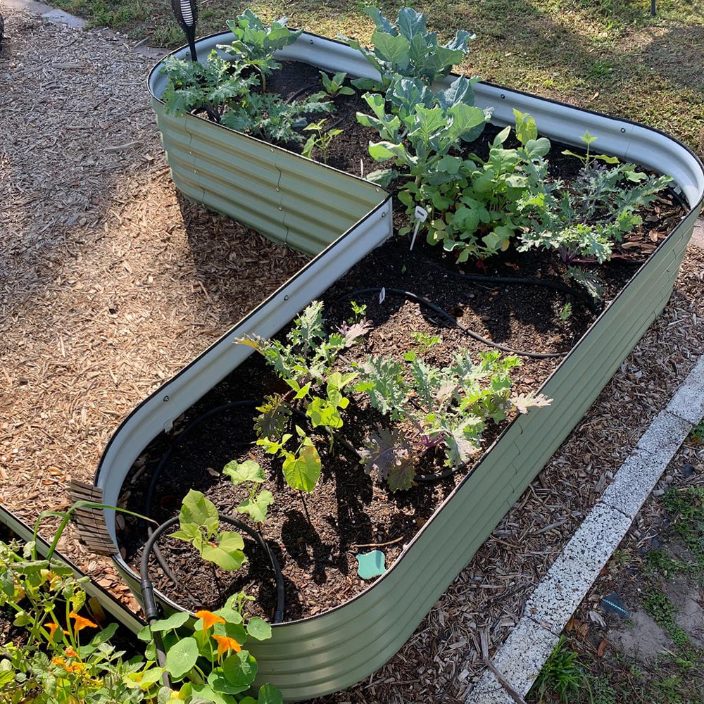 VEGEGA 17" Tall L-Shaped Modular Corrugated Metal Raised Garden Beds Large Size - Green