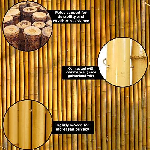 Backyard X-Scapes Natural Bamboo Fencing Garden Screen Rolled Fence Panel 6 ft H x 8 ft L Natural Black