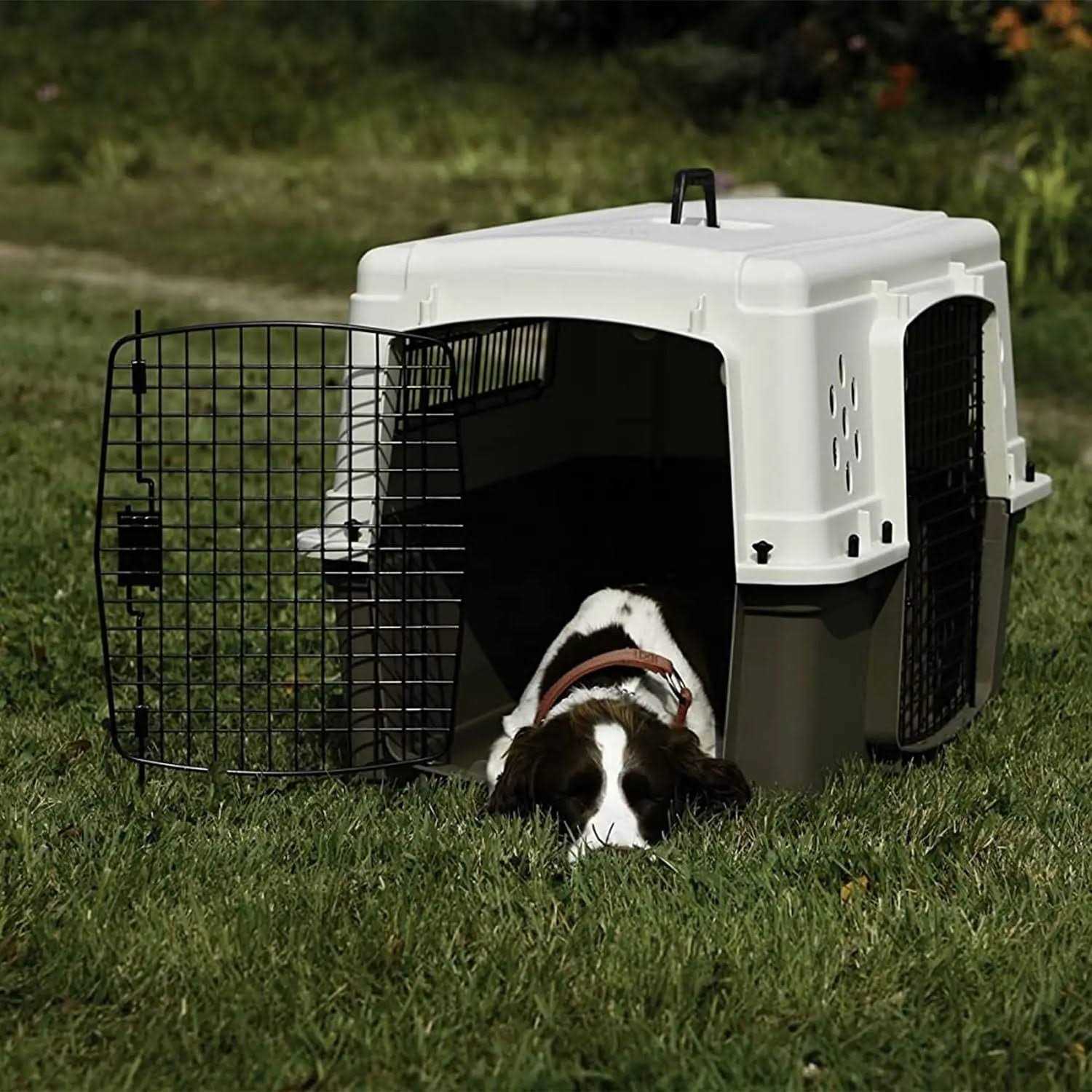 Pet Lodge Double Door Plastic Crate - Pet Supplies online store