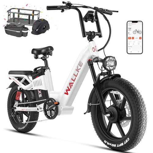 Electric Bike for Adults, 48V 40Ah 1600W/2800W Peak Dual Motor Fast Long Range Ebike, 20 Inch Fat Tire Full Suspension Electric Bicycle 31/34MPH, Step Thru E-bike with APP Control, UL2849 Certified