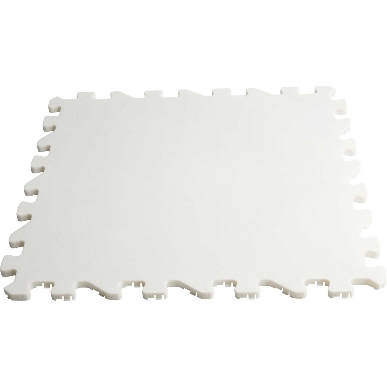Bauer Synthetic Ice Tiles - Shop Hardware Tools Online Store