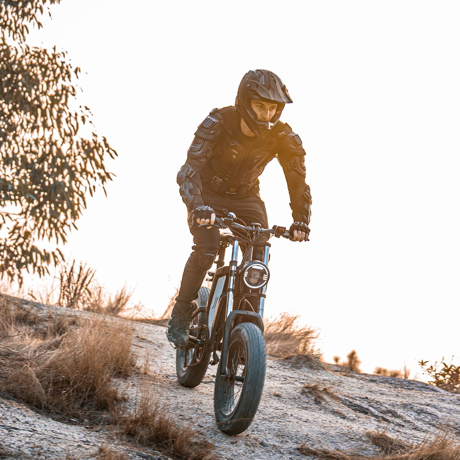 X20 Electric Bike for Adults 2000W 35AH Removable Battery 20" Mountain Electric Dirt Bike, 34MPH, 7-Speed, Dual Hydraulic Shock Absorbers, Commuting Electric Bicycle for Adults