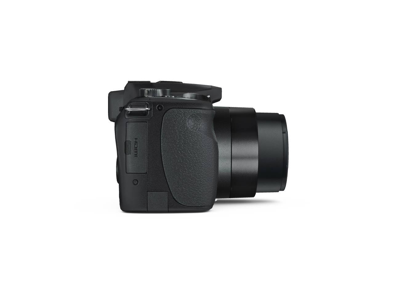 Leica V-LUX 4 12.1 MP Compact Digital Camera