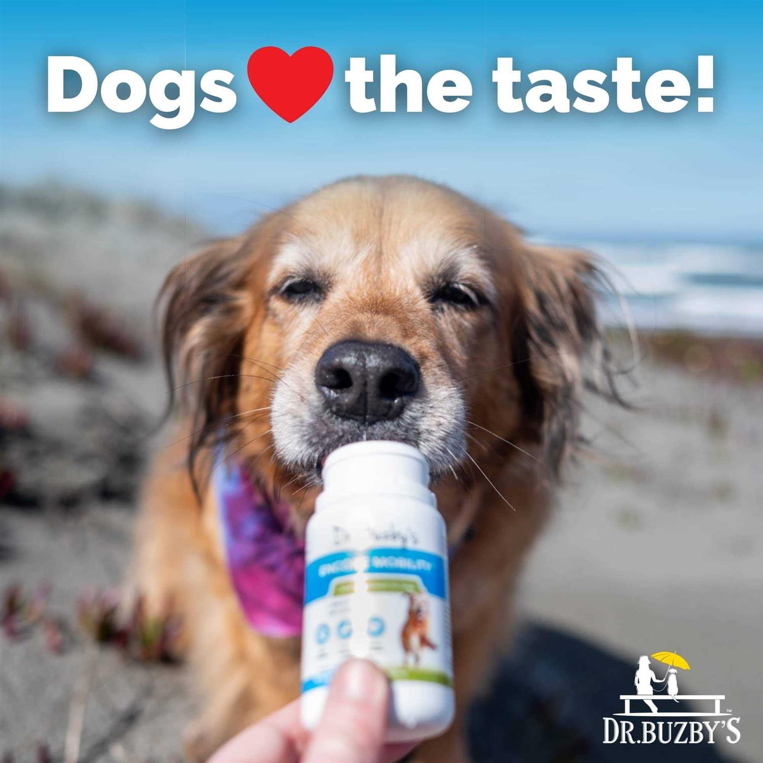 Dr. Buzby's Encore Mobility Hip &amp; Joint Supplement for Senior Dogs, 90 Chewable Tablets, Natural New Zealand Deer Velvet and Green Lipped Mussel - Pet Supplies online store