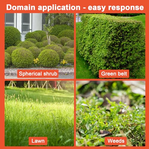 Cordless Hedge Trimmer & Grass Shears, 2 in 1 Electric Shrub Trimmer Handheld Grass Cutter, 21V Lightweight Hedge Clippers with Battery and Charger for Garden and Lawn (Orange)