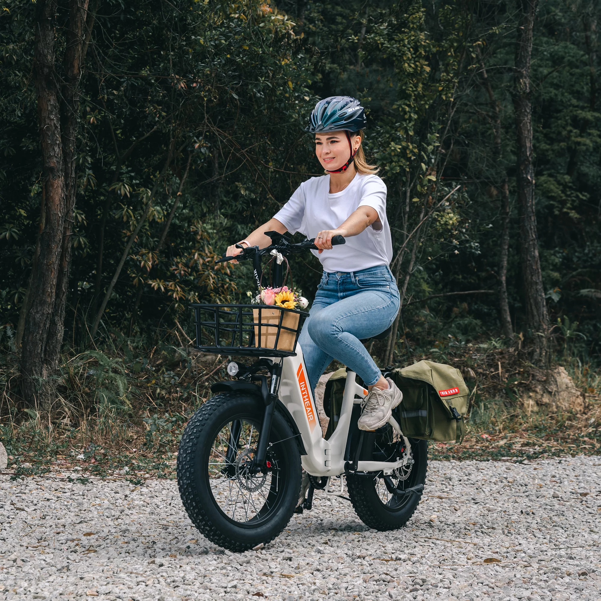 INTHEAIR Ranger Electric Bike, Adults Foldable Ebike for Adults 20 x 4.0 Fat Tire Step Thru Electric Bicycle with 750W Motor, 48V 13AH-Black
