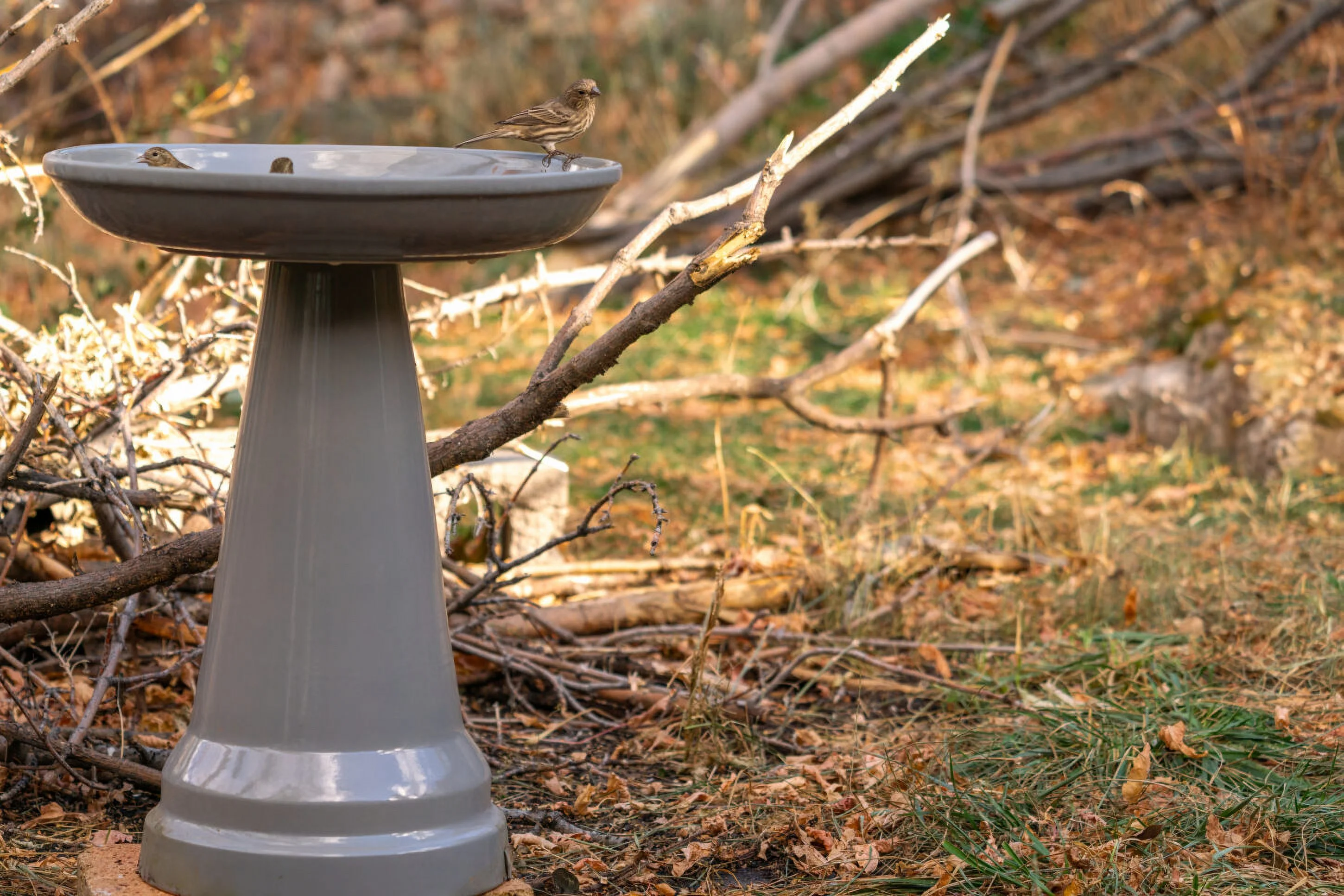 Ohio Stoneware Clay Bird Bath with Locking Top, Gray