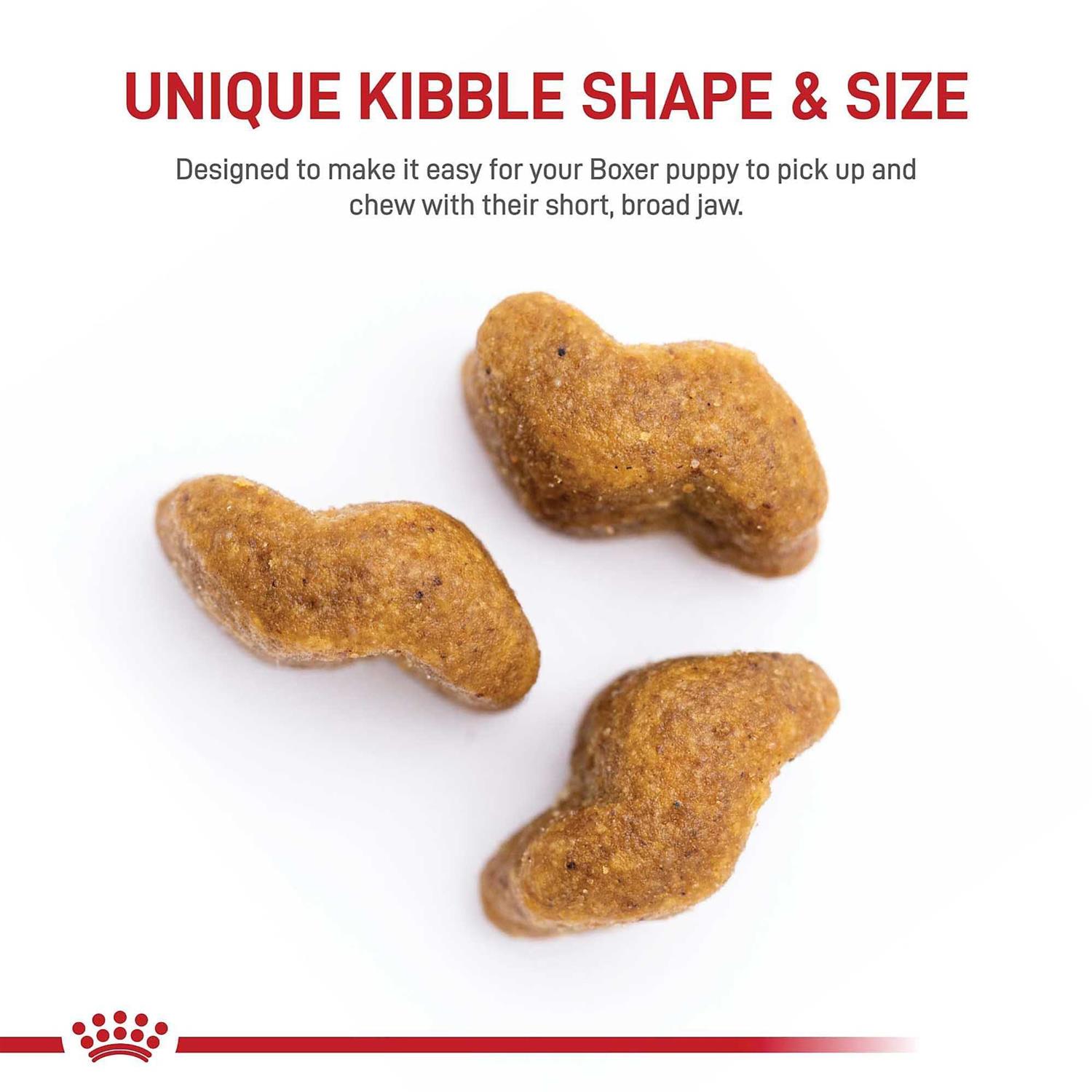 Royal Canin Breed Health Nutrition Boxer Puppy Dry Dog Food - Pet Supplies online store