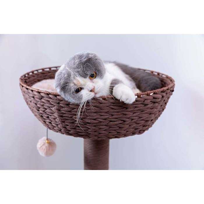 PetPals Pharaoh and Brown Cat Tree - Pet Supplies online store