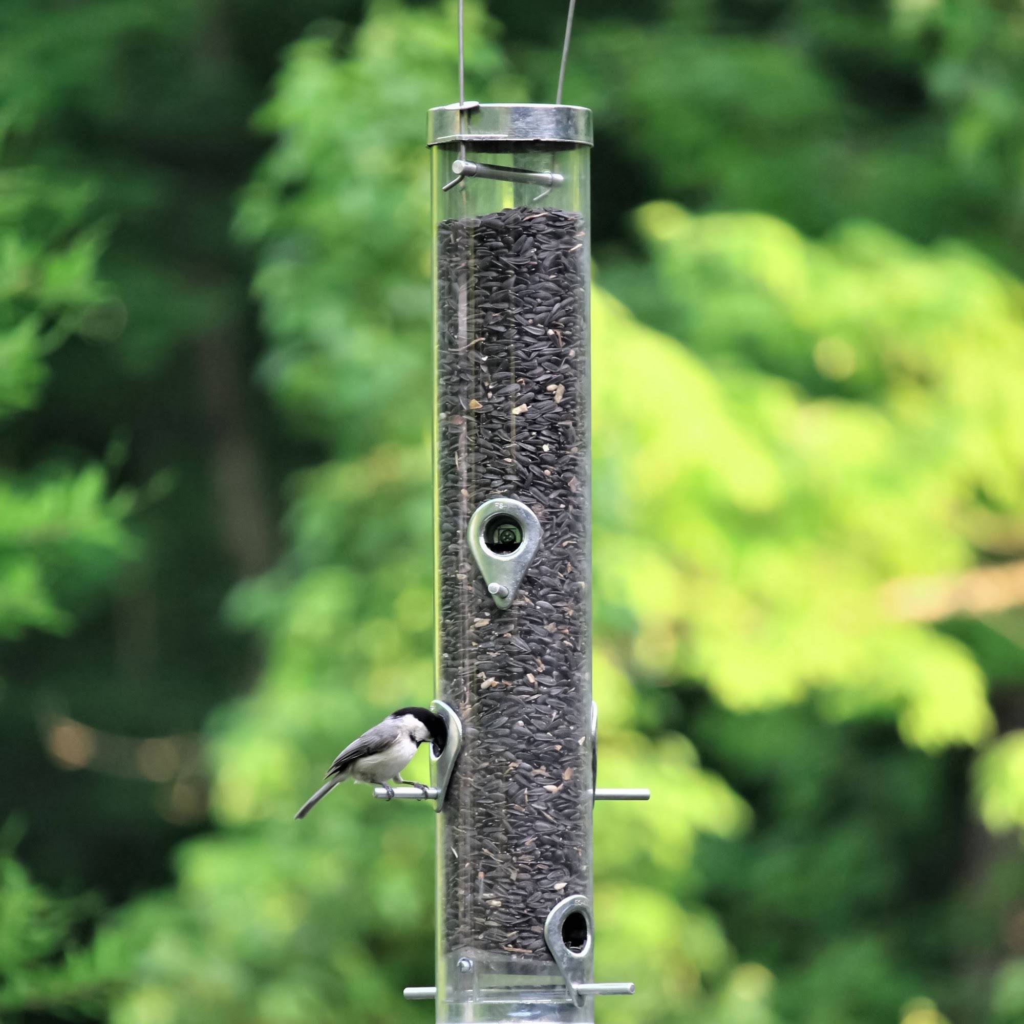 Droll Yankees Classic Sunflower or Mixed Seed Bird Feeder, 20-in