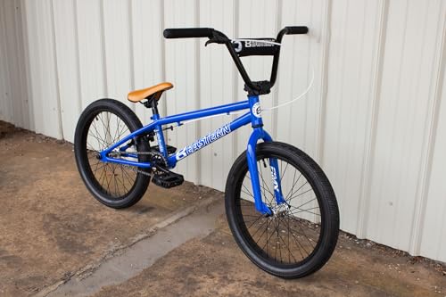 Eastern Bikes Paydirt - 20-Inch Freestyle BMX for Beginners, Durable Frame, Ideal for Street and Park Riding