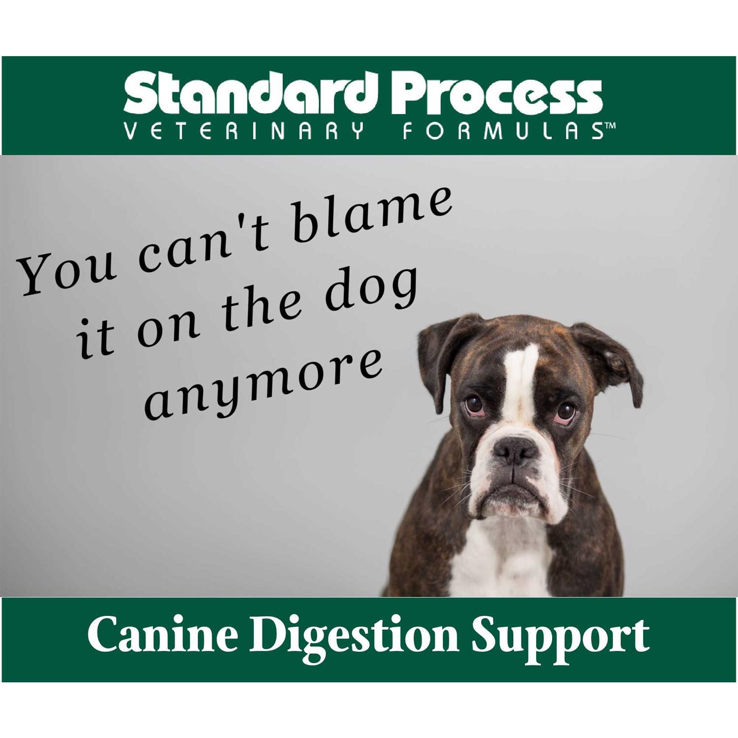 Canine Enteric Support - Pet Supplies online store