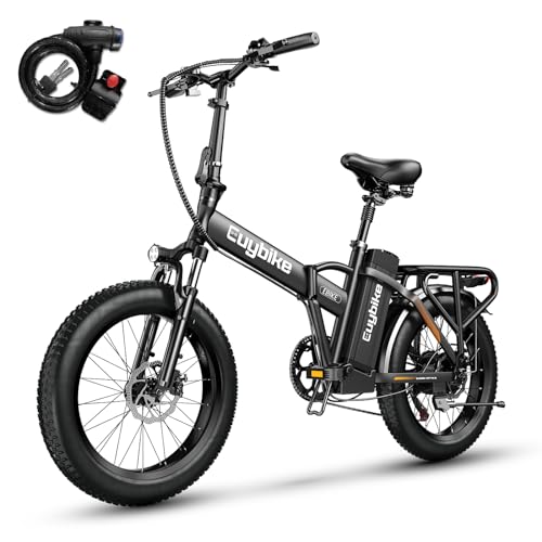 1000W Folding Electric Bike, 48V 20AH Large Removable Battery E Bike, 30+MPH, 80 Miles Max Range, 20" Fat Tire Electric Bike for Adults, Adult Electric Bicycles for Commute Beach Snow