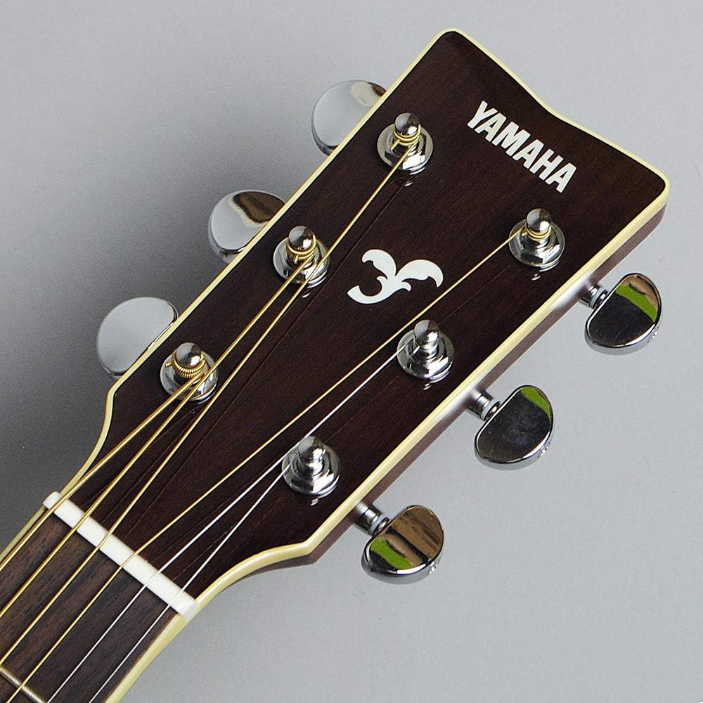 Yamaha FS830 Natural Concert Acoustic Guitar