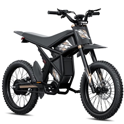 GT73 Electric Dirt Bike for Adults 2500W Electric Bike with 1747Wh(48V 18.2AH*2) Removable Batteries 37MPH/85Mile Range 25" x2" Motorcycle Tires Dual Hydraulic Brakes & Full Suspension
