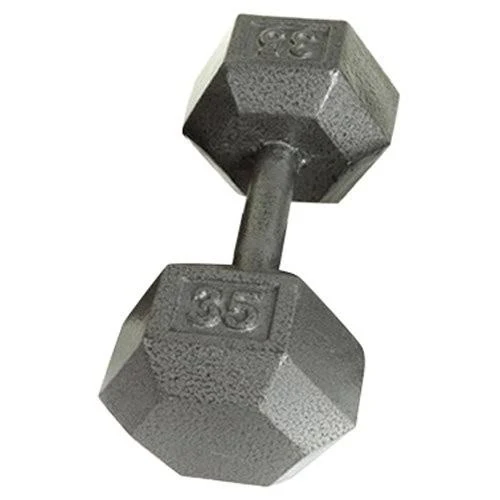 USA Sports by Troy Barbell 65 lb. Cast Iron Dumbbell Single