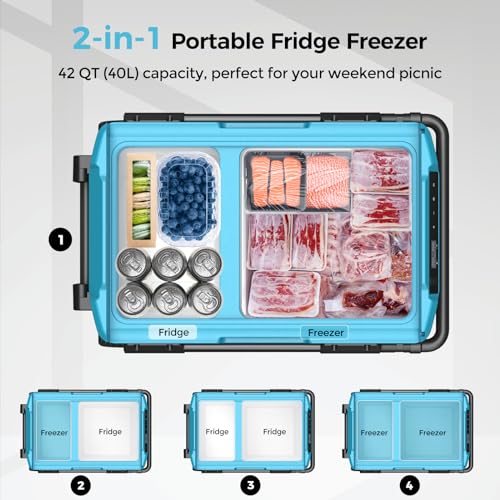 Renogy Car Refrigerator, Electric Cooler LG Powered Compressor Car Fridge, Dual Zone, App Control, Cooling from -4~68°F, Portable Freezer for Camping, RV, Fishing, Outdoor, Truck