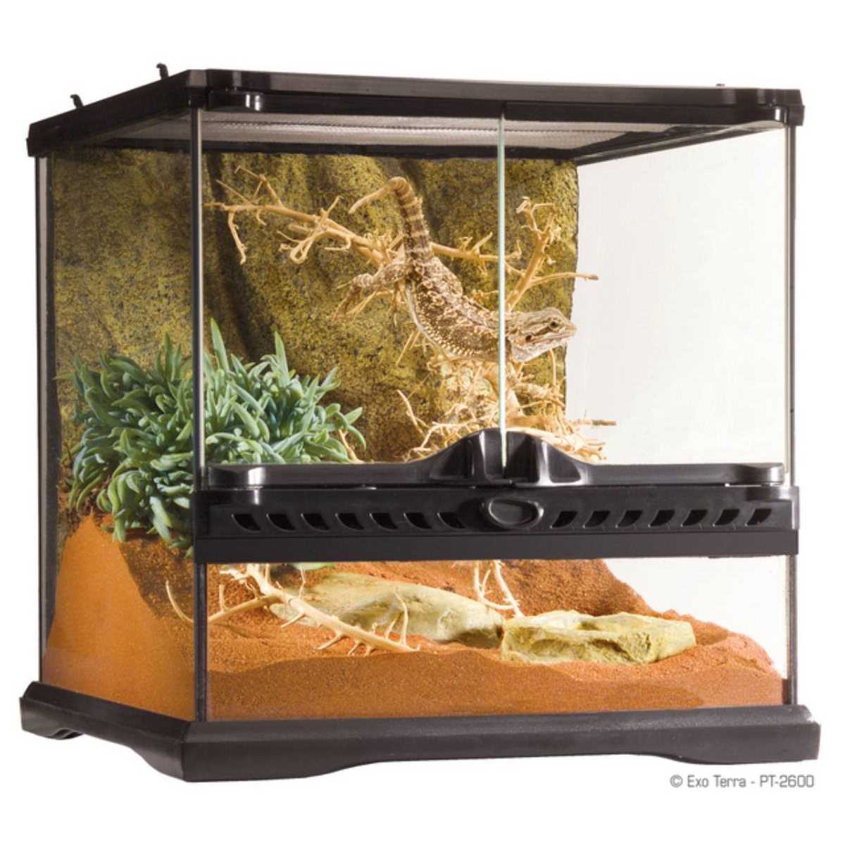 Exo Terra Glass Terrarium - Pet Supplies online store