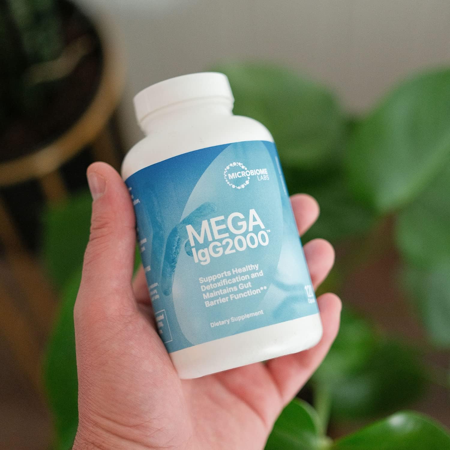 Microbiome Labs MegaSporeBiotic (60 Capsules) + MegaIgG2000 (120 Capsules) Gut and Immune Support Bundle - Spore-Based Probiotic with Dairy-Free Immunoglobulin Concentrate