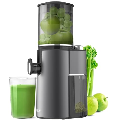Cold Press Juicer, 5.4" Extra Large Feed Chute Fit Whole Fruits & Vegetables, 350W Professional Slow Masticating Juicer Machines, Easy to Clean