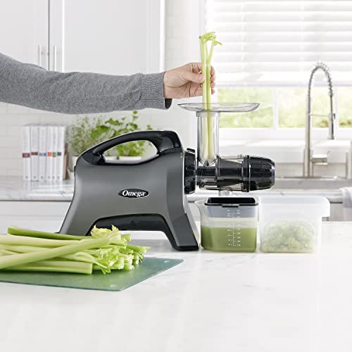Omega BPA Free, Slow Masticating High Juice Yield